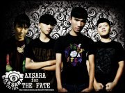 1347002705 axsa2